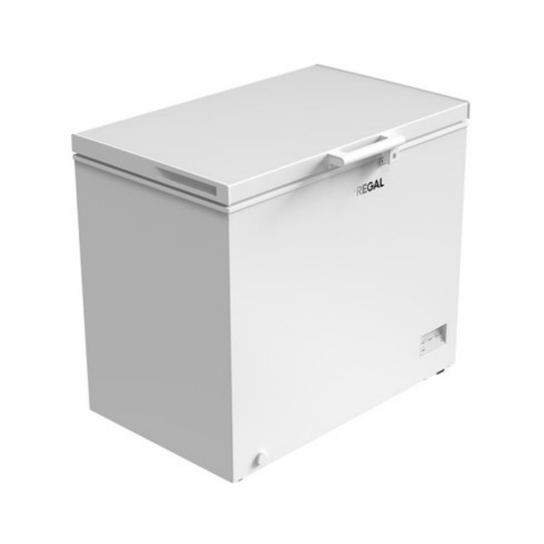 Regal SD Dual 3021 Sandık Tipi Derin Dondurucu